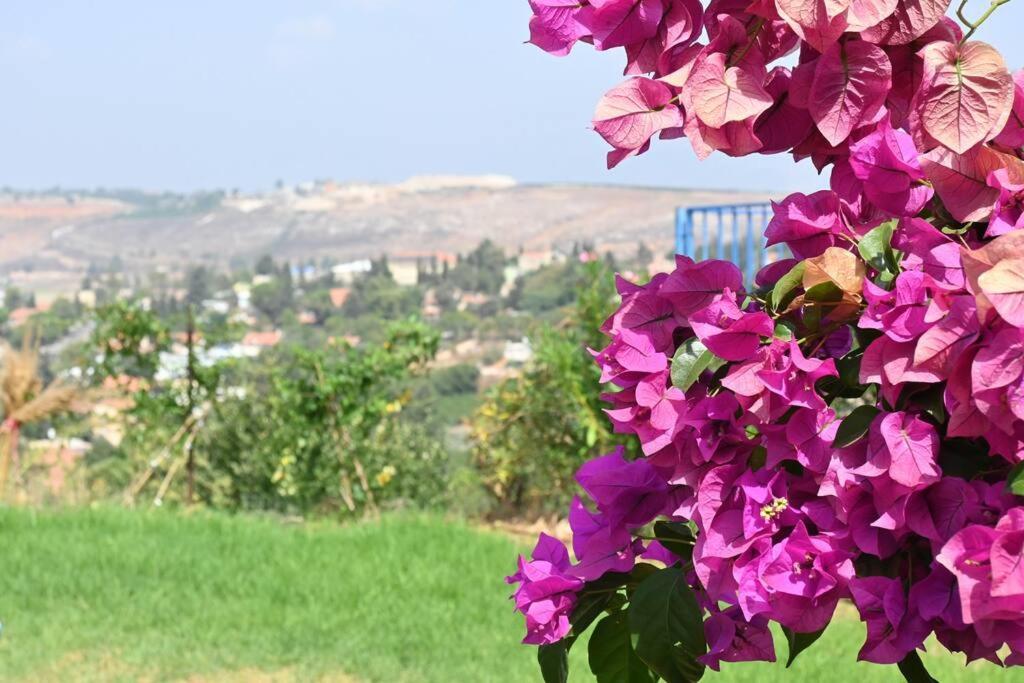 מטולה מול חרמון Villa Екстериор снимка